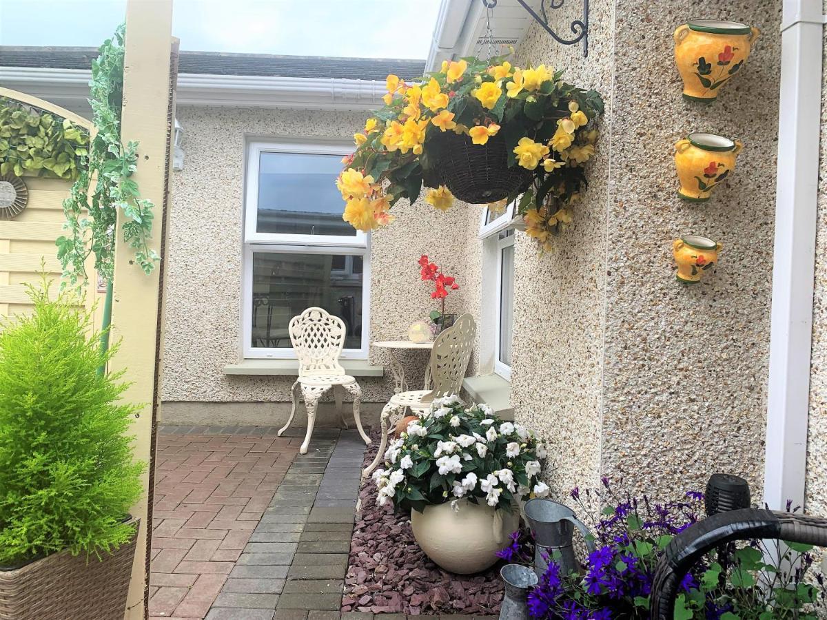 Naas 2 Bedroom Back Garden Escape Экстерьер фото